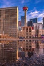 Downtown Calgary Reflecting In A Puddle Royalty Free Stock Photo