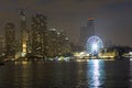 Navy Pier in Chicago at night with the lit up ferris wheel. Royalty Free Stock Photo