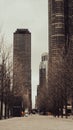 Vertical shot of Downtown Chicago at Navy Pier path