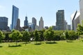 Downtown Chicago view from Grant park Royalty Free Stock Photo