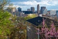 Downtown Cincinnati Ohio skyline framed by trees Royalty Free Stock Photo