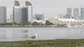 Downtown city skyline, San Diego cityscape, USA. Highrise skyscrapers by harbor.