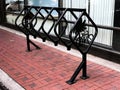 Downtown Columbia Decorative Palmetto Bike Racks