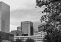 Downtown Denver in Monochrome Royalty Free Stock Photo