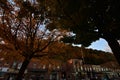 Downtown historic mcgregor iowa with fall foliage covered mississippi river bluff