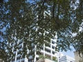 Modern white building framed by green tree branch. Royalty Free Stock Photo