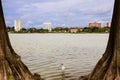 Downtown Lakeland, Florida, from Lake Morton Royalty Free Stock Photo