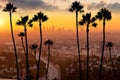 Downtown Los Angeles city skyline, cityscape of LA Royalty Free Stock Photo
