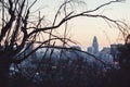 Downtown Los Angeles skyline as seen from Elysian Park Royalty Free Stock Photo