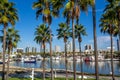 Downtown Los Angeles skyline Royalty Free Stock Photo