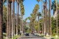 Downtown Los Angeles skyline Royalty Free Stock Photo