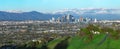 Downtown Los Angeles with Snowy Landscape