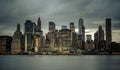 Downtown Manhattan Skyline from the Brooklyn Bridge Park