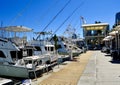 Bayside Marina Downtown Miami blue skies boats yachts