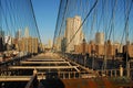 Downtown NYC Skyline Royalty Free Stock Photo