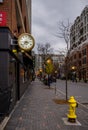 Downtown Toronto. Christmas preparing time. trees, wreath, garlands