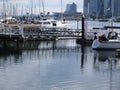 Downtown Vancouver skyline and the pier at Stanley Park, Summer 2018 Royalty Free Stock Photo