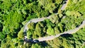 Downward aerial view of a beautful windy road across a forest Royalty Free Stock Photo