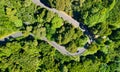 Downward aerial view of a beautful windy road across a forest Royalty Free Stock Photo