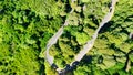 Downward aerial view of a beautful windy road across a forest Royalty Free Stock Photo