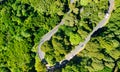 Downward aerial view of a beautful windy road across a forest Royalty Free Stock Photo