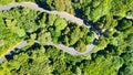 Downward aerial view of a beautful windy road across a forest Royalty Free Stock Photo