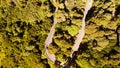 Downward aerial view of a beautful windy road across a forest Royalty Free Stock Photo