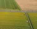 Downward aerial view of sunfloers meadow in summer season from d Royalty Free Stock Photo