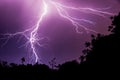 Downward Lightning Stroke on Dark Purple Sky with Silhouette Forest Royalty Free Stock Photo