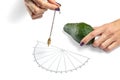 Dowser with hand-held pendulum checks the usefulness of avocado Royalty Free Stock Photo