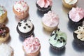 A Dozen Assorted Cupcakes on Silver Surface Royalty Free Stock Photo