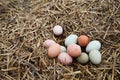 Farm fresh eggs straw chicken nest Royalty Free Stock Photo