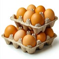 A dozen brown eggs in a carton on a white background Royalty Free Stock Photo