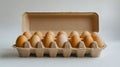 A dozen brown eggs in a carton on a white background Royalty Free Stock Photo