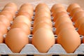 A dozen brown eggs in a carton on a wooden table Royalty Free Stock Photo