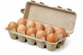 Open carton of brown eggs on white background. AI image Royalty Free Stock Photo