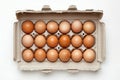 Open carton of brown eggs on white background. AI image Royalty Free Stock Photo