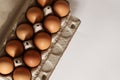 A dozen chicken eggs in a container Royalty Free Stock Photo