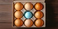 A dozen eggs are in a carton with one blue egg in the middle Royalty Free Stock Photo