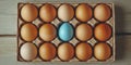 Dozen eggs with one blue egg in the middle Royalty Free Stock Photo