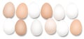 Dozen Eggs Twelve Pieces