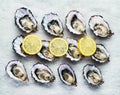 Dozen fresh oysters