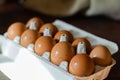 A dozen fresh washed chicken eggs on a tray Royalty Free Stock Photo