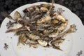 Eaten grilled sardines heads and bones on vintage plate