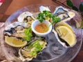 A dozen natural fresh oysters in ice tray