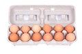 Dozen organic eggs in a box Royalty Free Stock Photo