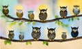 A dozen realistic Chibi night owls standing in next to each other, each owl has feathers with a specific color of the pattern, AI