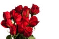 Dozen Red Roses