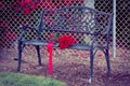 Dozen red roses lying on a bench Royalty Free Stock Photo