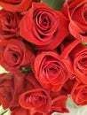 a dozen red roses for Valentine's Day for a romantic date night